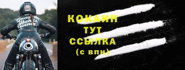 эйфоретик Бородино