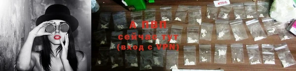 хмурый Богородицк