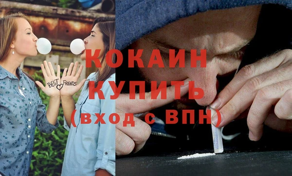 эйфоретик Бородино
